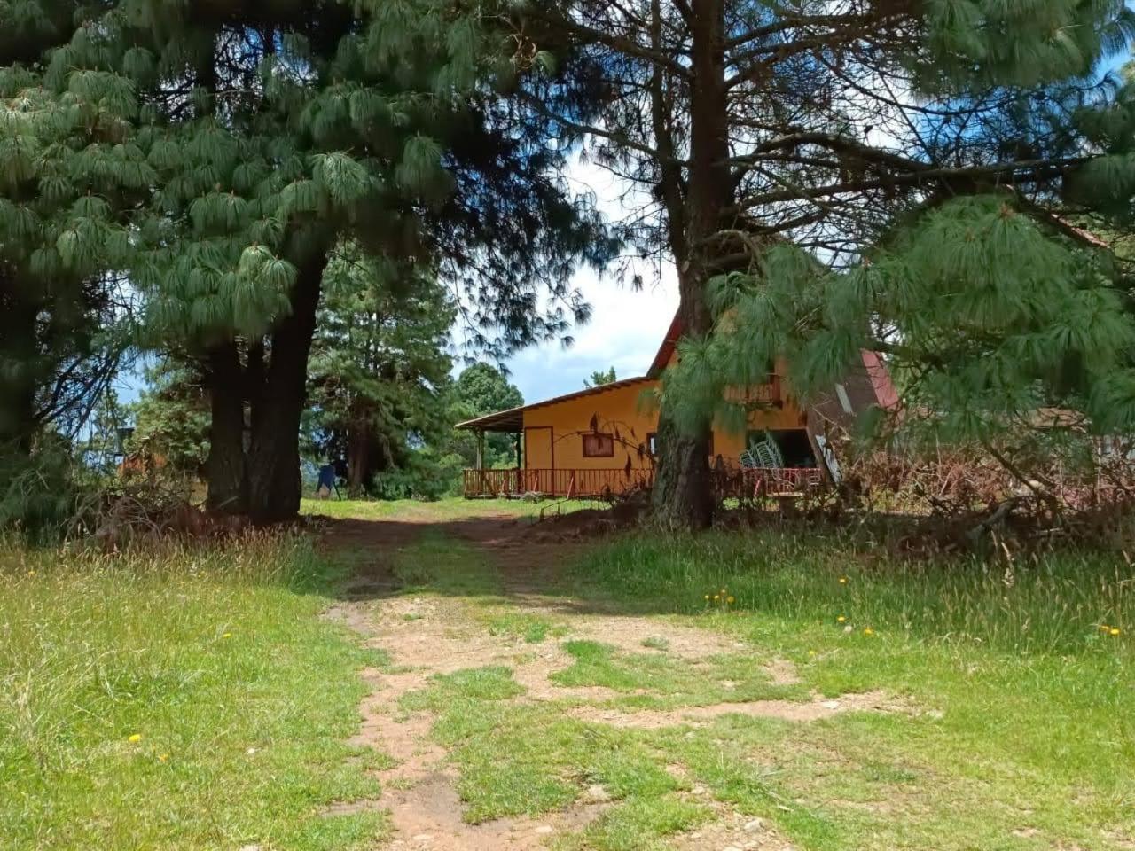 סוסקה Chalets Amarelo מראה חיצוני תמונה